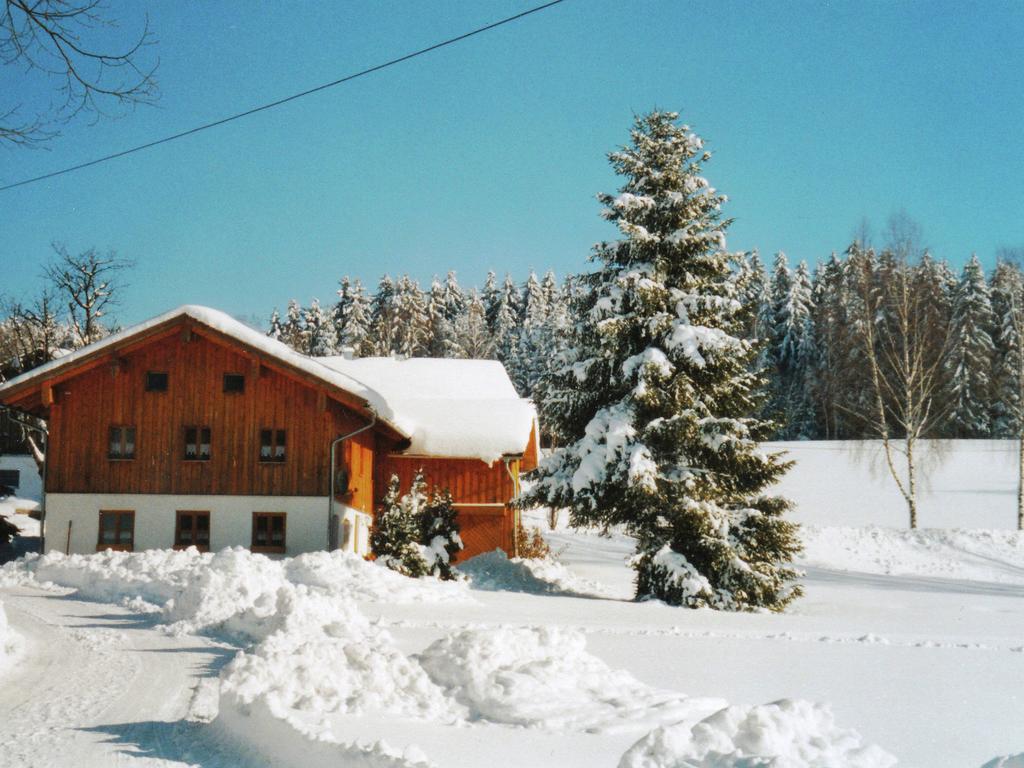 Lovely Holiday Home In Viechtach Near The Forest 外观 照片