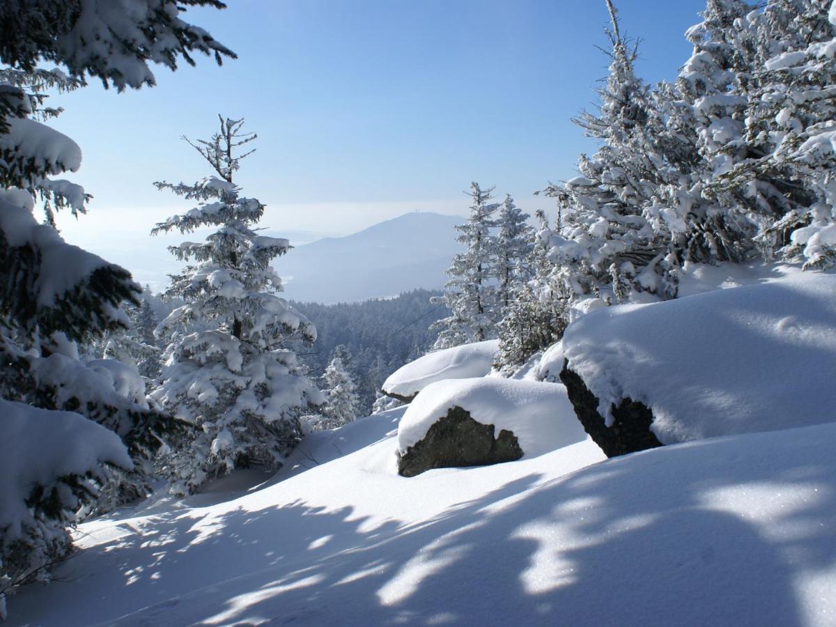 Lovely Holiday Home In Viechtach Near The Forest 外观 照片