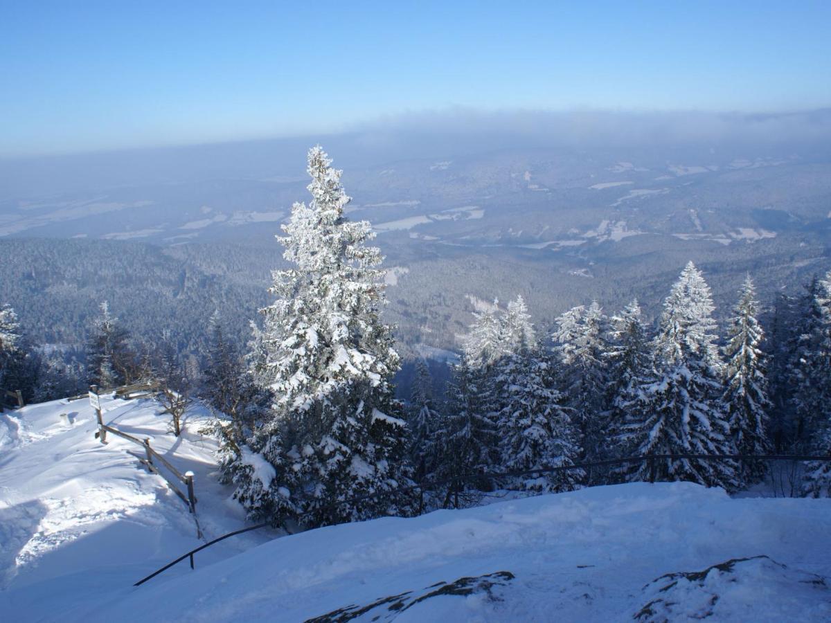 Lovely Holiday Home In Viechtach Near The Forest 外观 照片